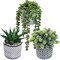 3-Piece Artificial Succulent Set – Modern Greenery in Black Geometric Pots